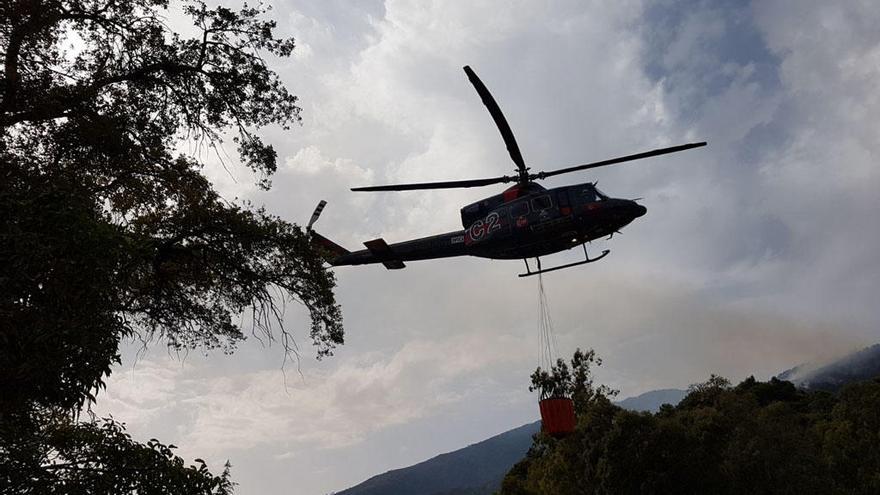 Labores de extinción en Benahavís.