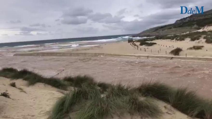 Las lluvias provocan el aumento del caudal del torrente de Cala Mesquida