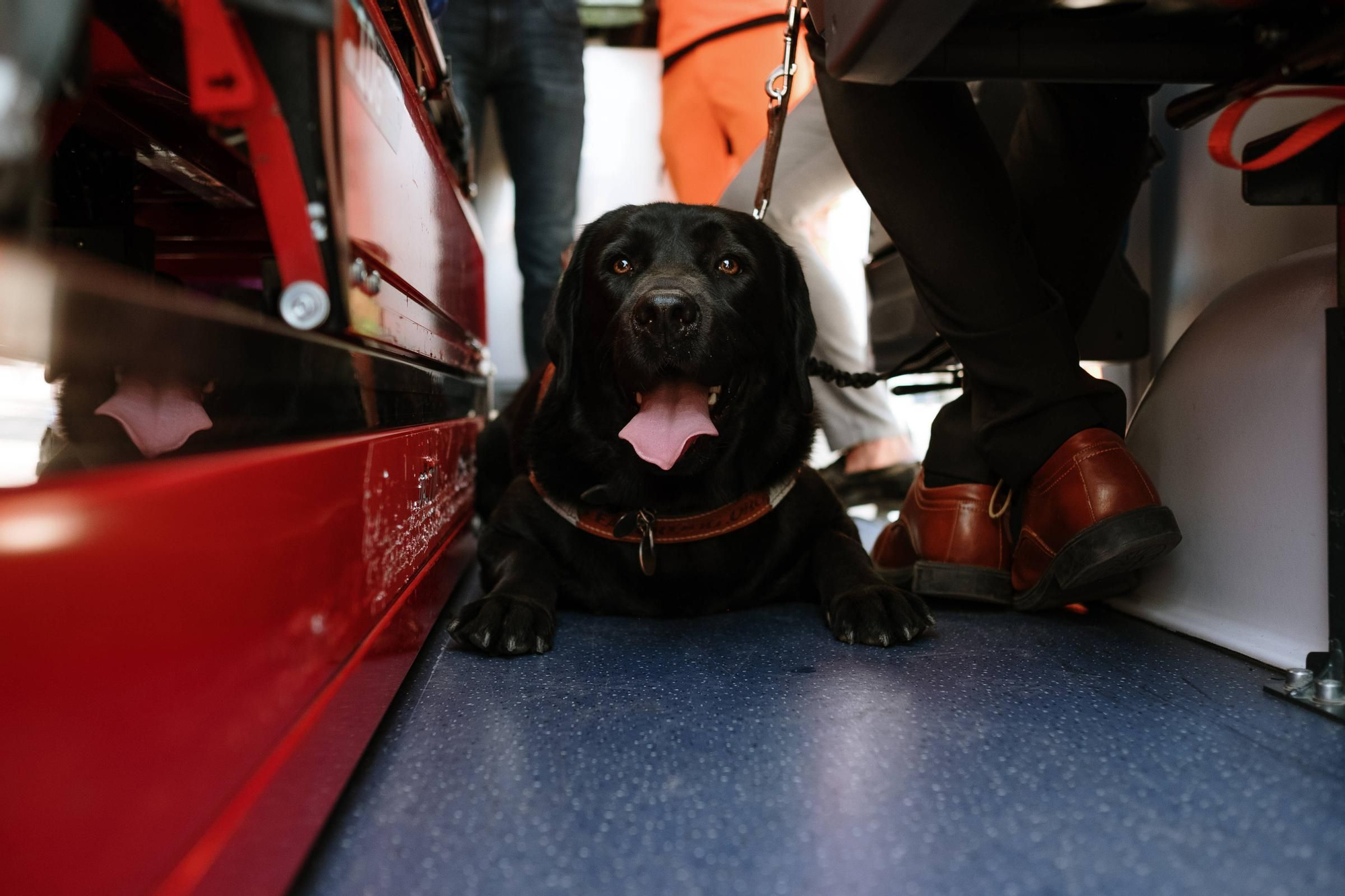 Los perros guía para pacientes con discapacidad ya pueden subir a las ambulancias en Baleares