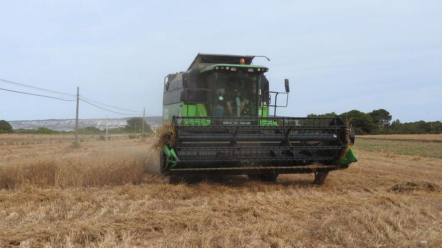 La futura Ley Agraria balear inicia su camino con una consulta previa