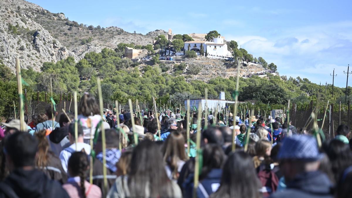 La Romeria, el acto más emblemático de la Magdalena.