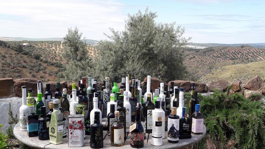 Un aceite de Carcabuey, galardonado como mejor frutado verde del concurso ecológico Ecotrama