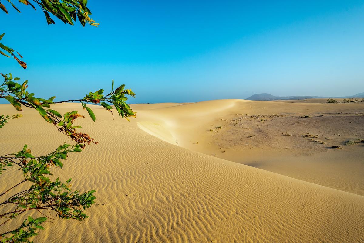 Las espectaculares Dunas de Corralejo, Fuerteventura.
