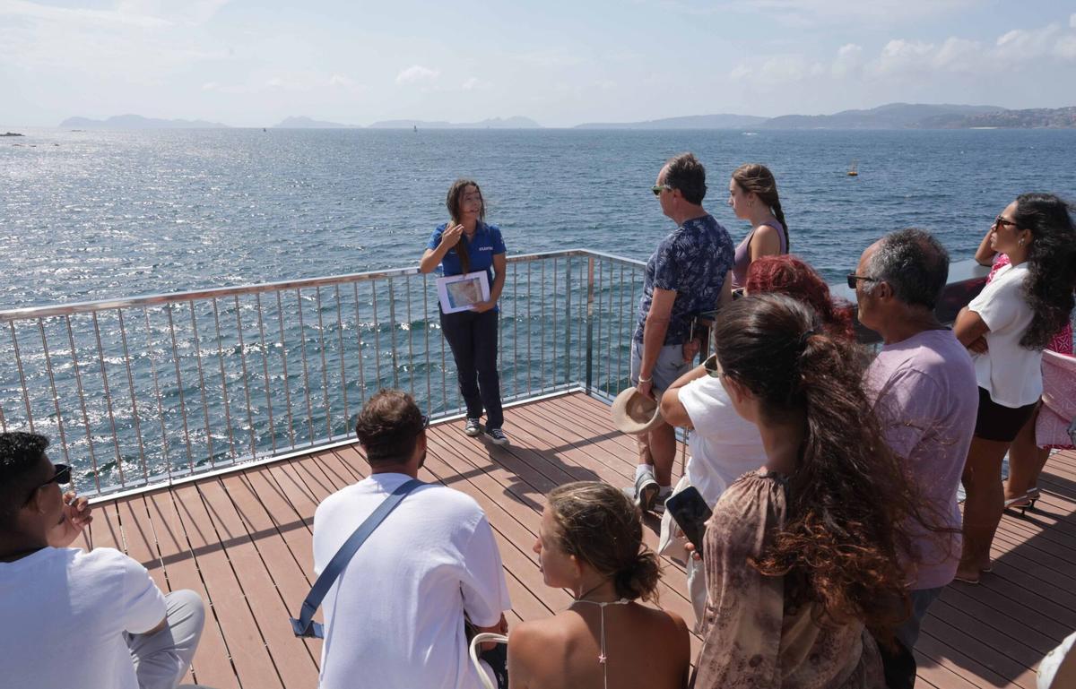 Abre «Atlántida», una ventana privilegiada para observar la riqueza de la ría de Vigo