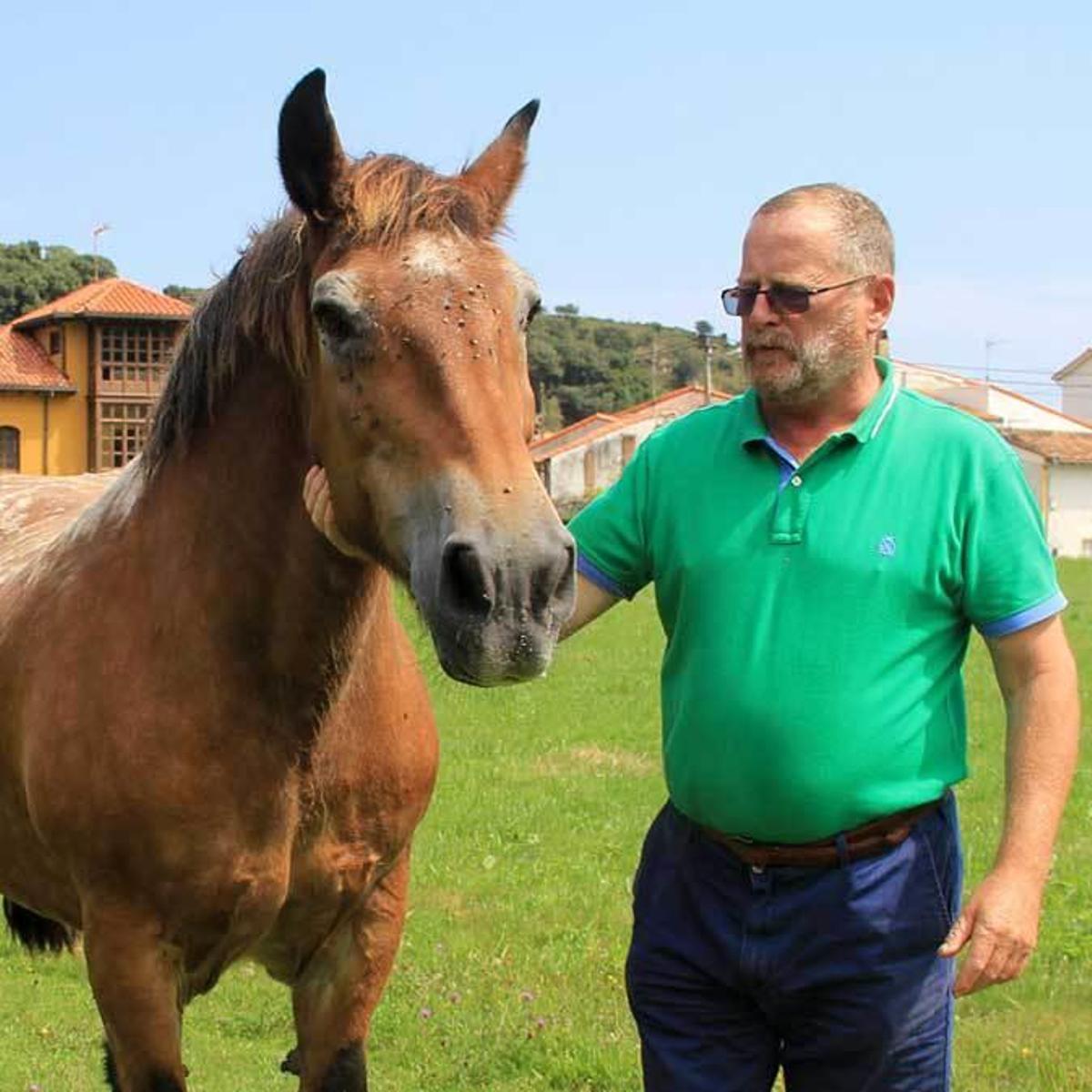"Toto", tristeza de amor equino en Barru