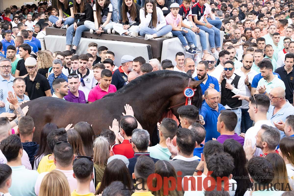 Así ha sido la entrega de premios del concurso morfológico de los Caballos del Vino de Caravaca