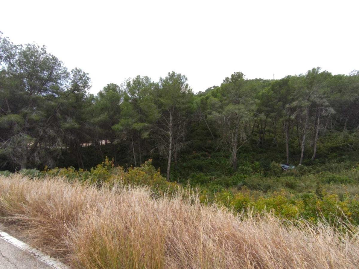 El vehículo, visto desde la carretera.