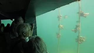 «Atlántida» conquista Vigo: más de 20.000 visitas y ahora también será aula bajo el mar para escolares
