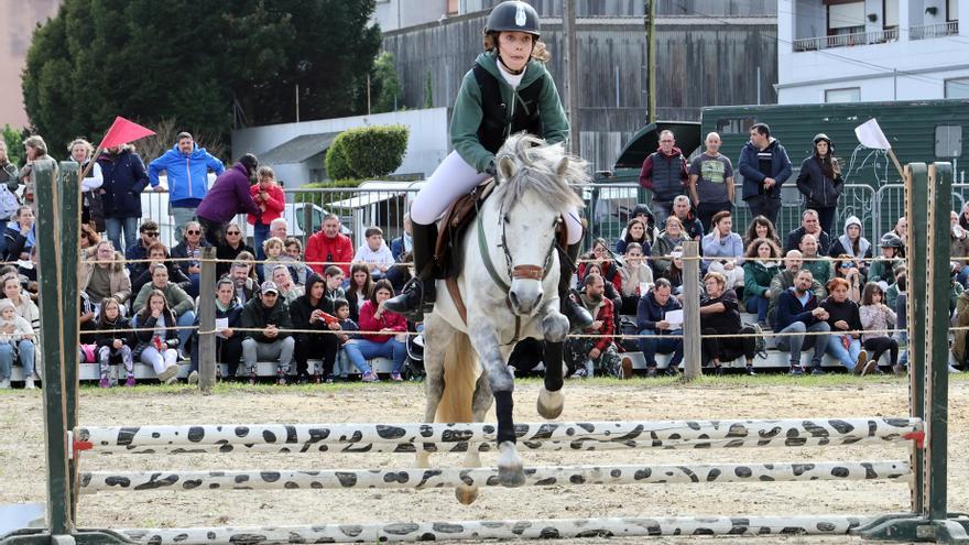 Feira Cabalar de San Telmo: el mayor espectáculo ecuestre de Galicia