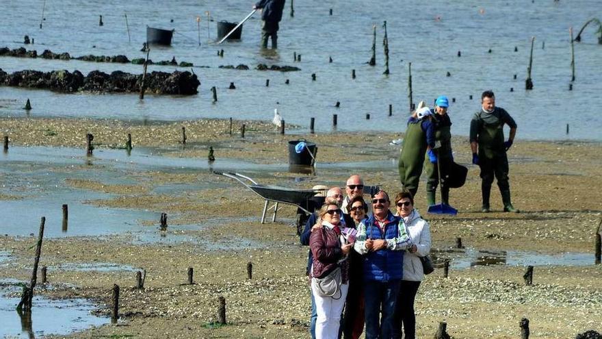 Un grupo de turistas se hace un &quot;selfie&quot; en los parques de cultivo de Carril. // Iñaki Abella