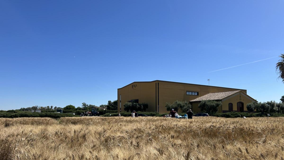 La Finca Experimental Sinyent ubicada en la localidad de Polinyà de Xúquer.