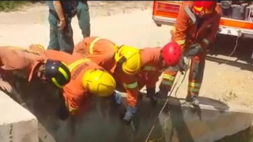 Los bomberos rescatan a un jabalí de una acequia de Villanueva de Castellón