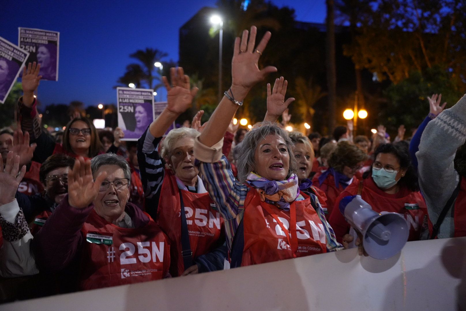 Manifestación por el 25N en Córdoba