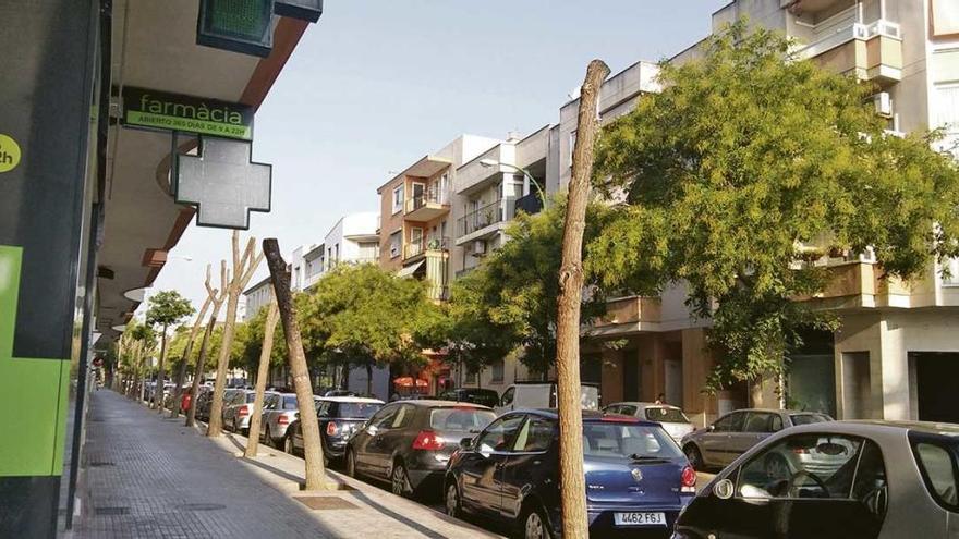 Árboles podados recientemente en la calle Miquel Capllonc.