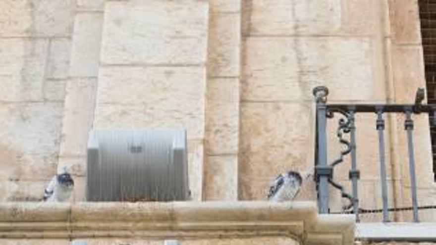 Castelló plantea &#039;impulsos eléctricos&#039; para repeler a las palomas del Palau Municipal