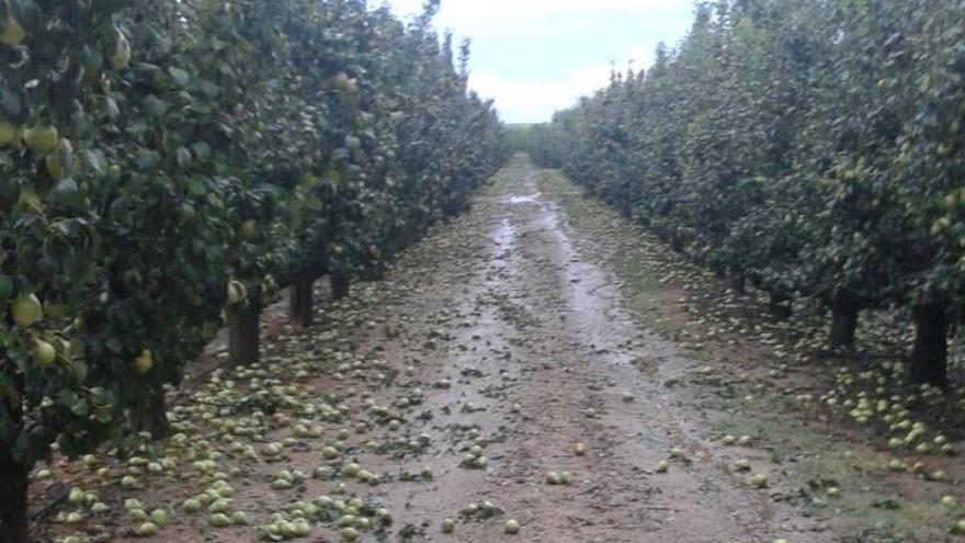 El campo aragonés reclama mejoras en la política de seguros