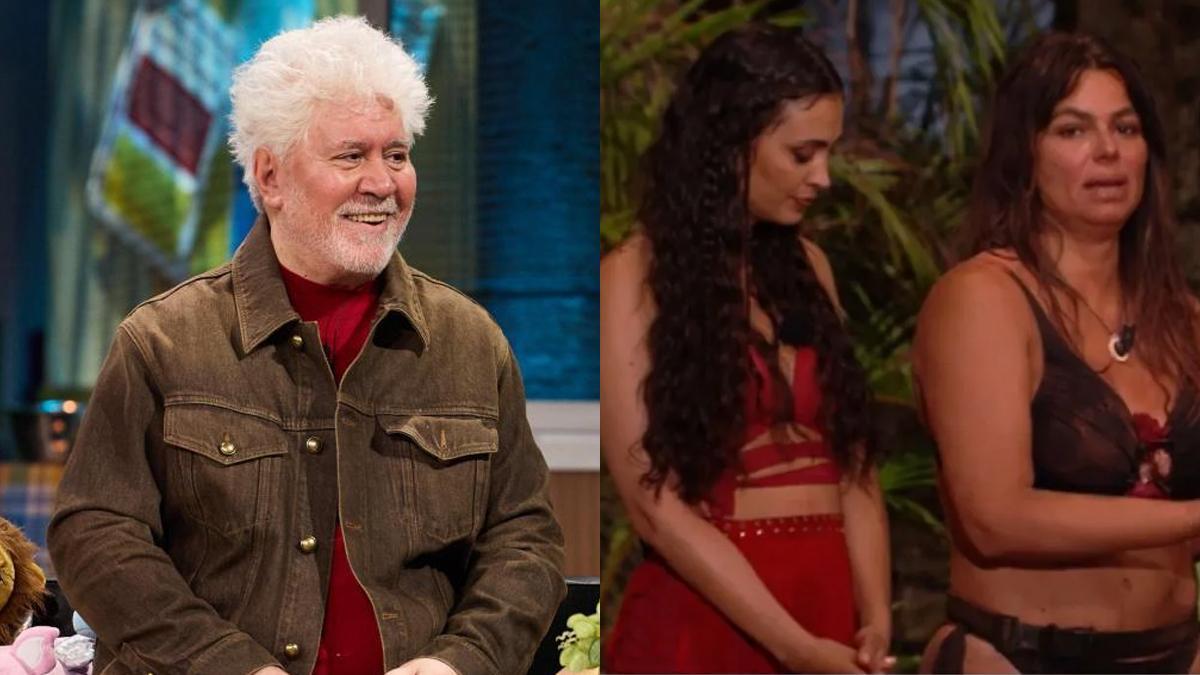 'La revuelta' y 'Supervivientes'