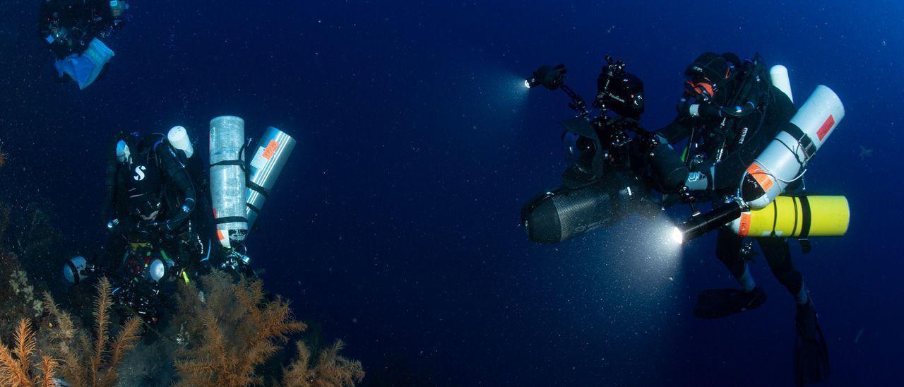 Investigadores canarios estudian la biodiversidad de los fondos marinos de las Islas.