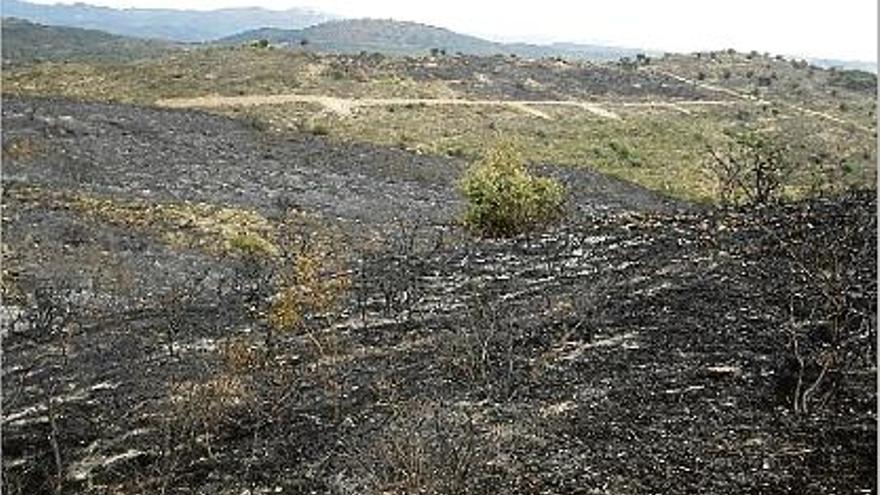 L&#039;estat en què va quedar una de les zones afectades per les flames.