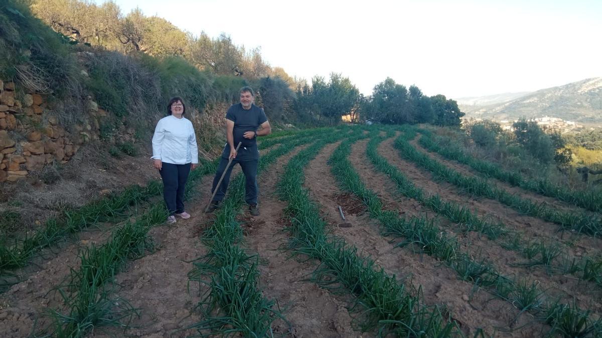 Catalina Chiva y Miguel Silvestre, con sus futuros calçots.