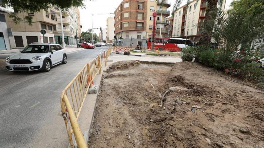 Inquietud por las palmeras y el carril bici | ANTONIO AMORÓS