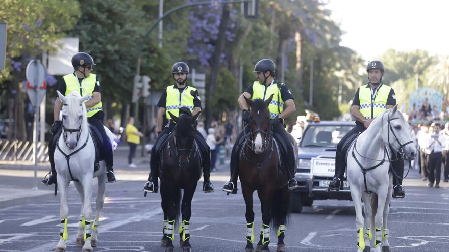 Buen pelo, altura óptima, genética acreditada y carácter sociable: la Policía Local de Córdoba busca caballos nuevos