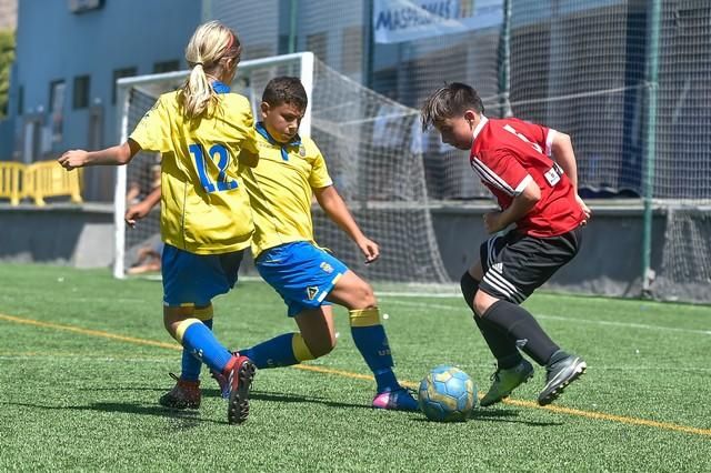 Copa de Campeones de Alevines