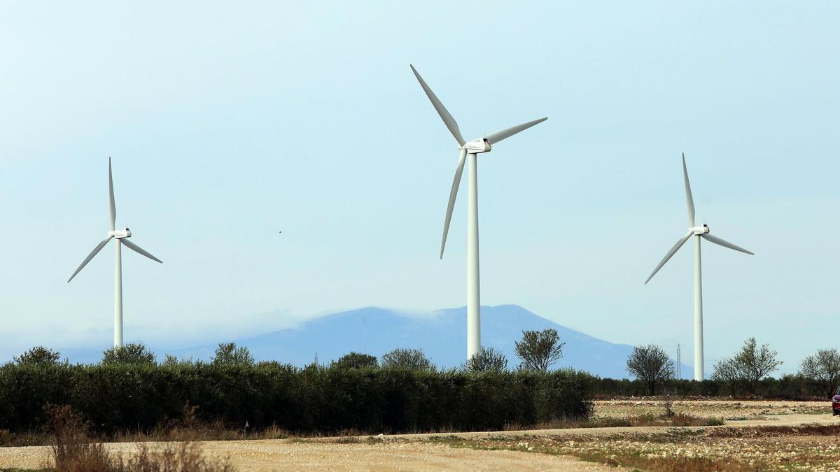 Molinos de viento en La Muela, comarca de Valdejalón, con el Moncayo al fondo.