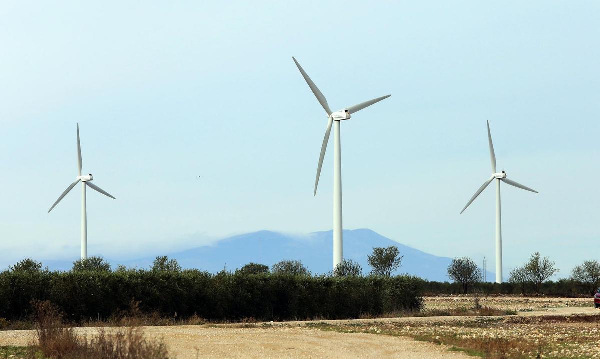 Molinos de viento en La Muela, comarca de Valdejalón, con el Moncayo al fondo.