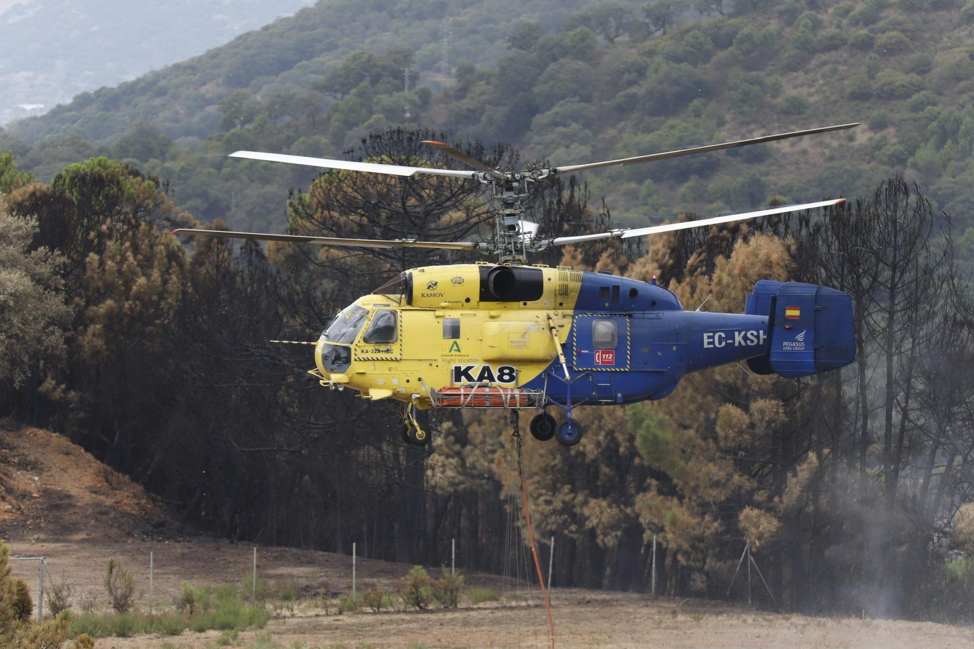 El Paraje de las Peñas Blancas en Estepona arrasado por el fuego