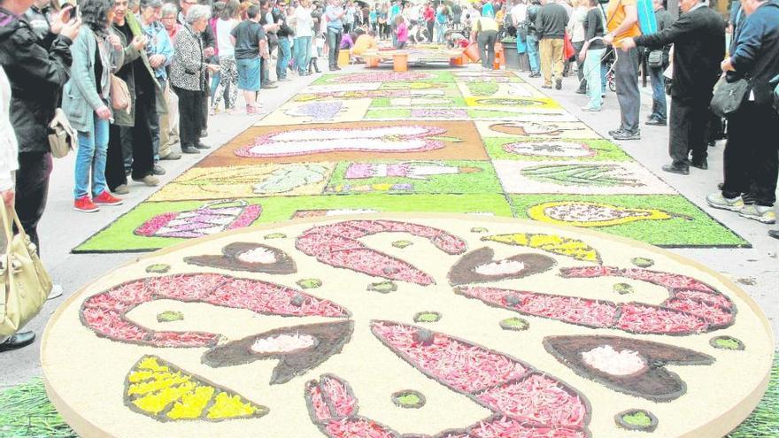 Concurs de Catifes de Flors Naturals a Arbúcies