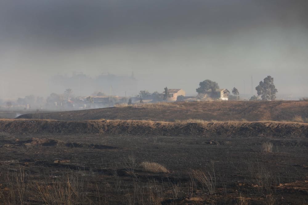 Incendio forestal en el Marjal dels Moros en Sagunt
