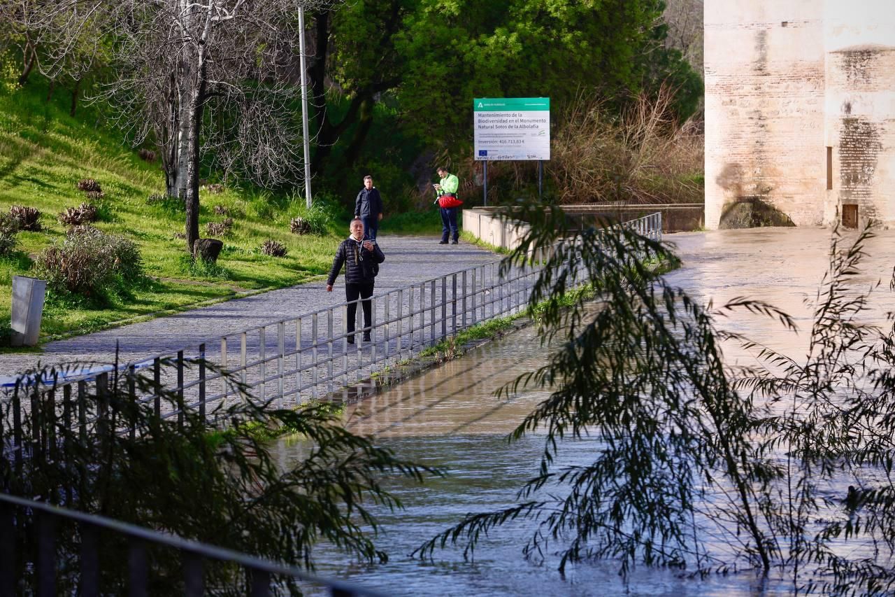 El Guadalquivir a su paso por Córdoba, en imágenes