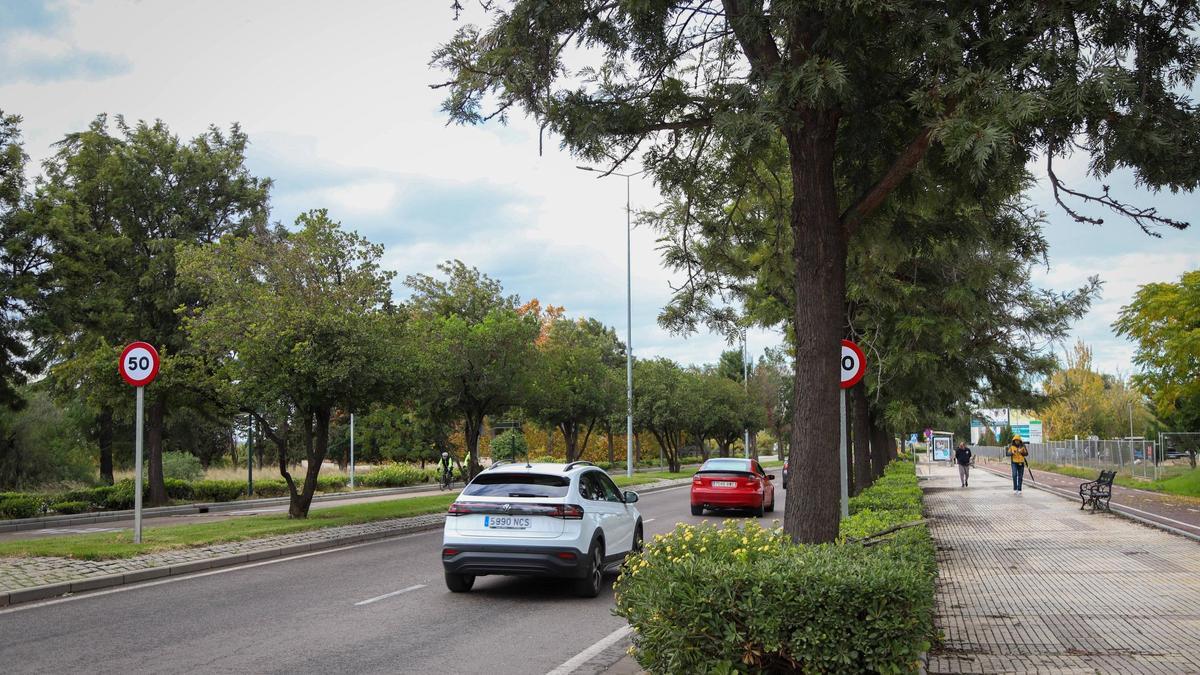 Avenida de Elvas, lugar donde se produjo el accidente.