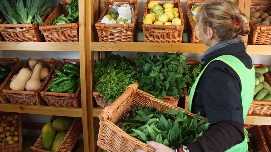 El Ayuntamiento saca a licitación los puestos del mercado ecológico local