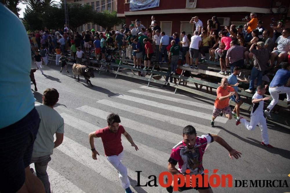 Cuarto encierro de Calasparra