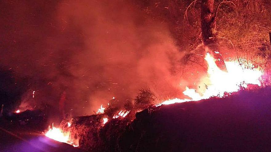 Las llamas queman matorral y la base de un árbol. | LEVANTE-EMV