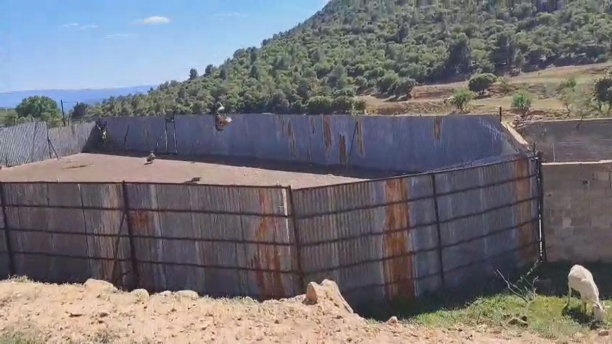 Explotación de ovejas en los Serranos.