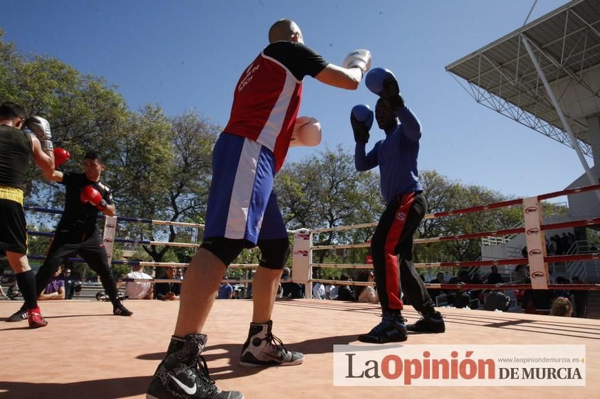 Fiesta del Deporte de Murcia (domingo)