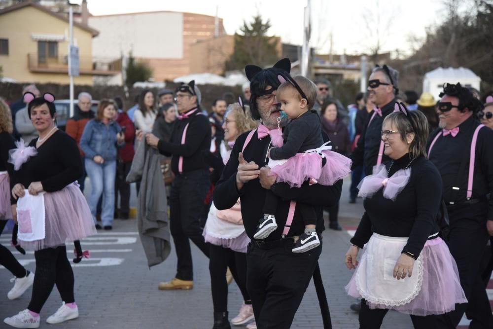 El Carnaval d''Artés en imatges