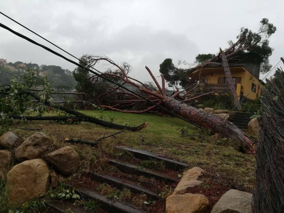 Destrosses a Riells i Viabrea per un tornado