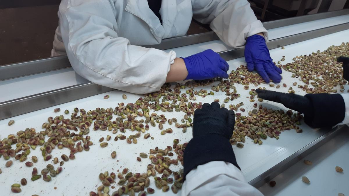 Línea de producción en la planta de Villa del Río.