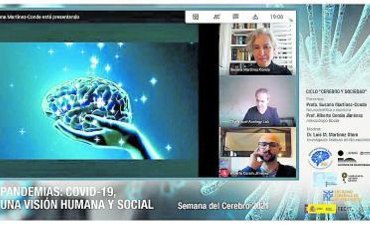 Un momento de la mesa redonda virtual sobre neurociencia.