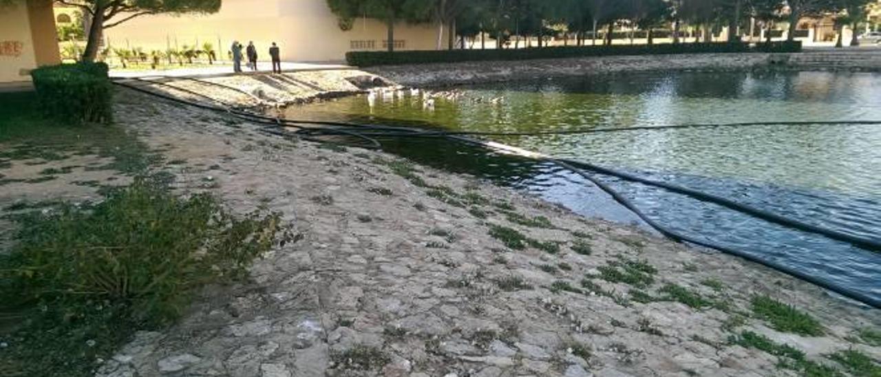 Tavernes invierte 94.210 euros para acabar con la muerte de peces en el Lago Azul