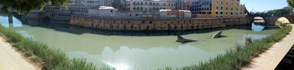 El río Segura a su paso por Murcia