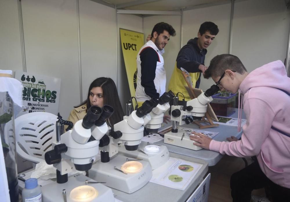 Arranca la Semana de la Ciencia en Murcia