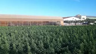 A subasta una empresa agrícola en Castellón: se vende nave, maquinaria... y hasta los trabajadores