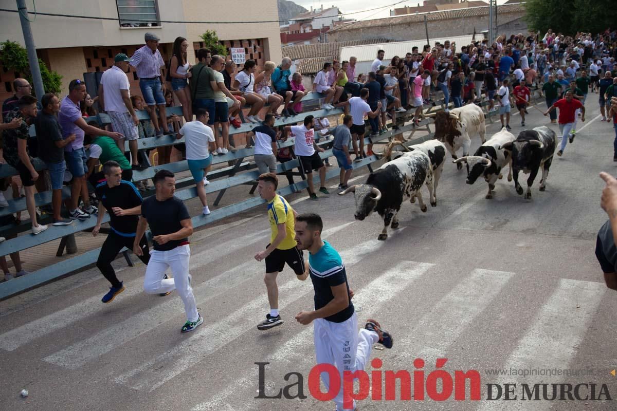 Primer encierro de la Feria del Arroz de Calasparra