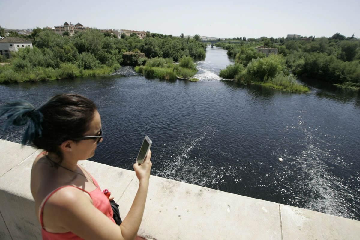 Fotogalería / Vertido de orujo en el Guadalquivir