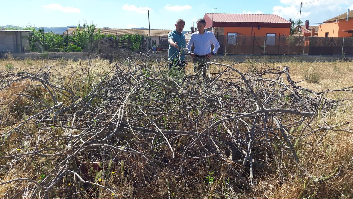 Ángel Ramón Meca Ruzafa y Fulgencio Gil Jódar junto a restos de poda en una pedanía del municipio.